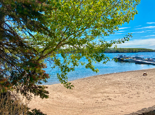Sandy Cove #43  Pine Lake - DustySmithTeam.ca in Land for Sale in Red Deer - Image 4
