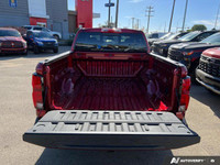 Z71 Convenience Package, Heated & Ventilated Seats, Heated Steering, Remote Start, Sunroof, Bose Spe... (image 8)