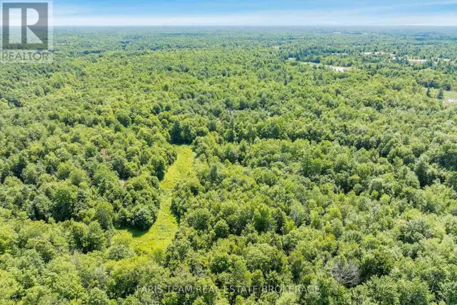 PART LOT 28 CONCESSION 12 BLACK RIVER ROAD Kawartha Lakes (Dalto in Land for Sale in Barrie - Image 5