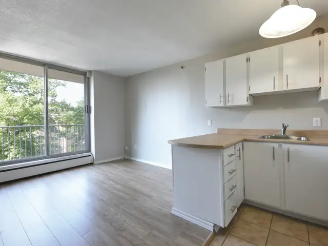 STUNNING 1 BEDROOM - CLOSE TO UNIVERSITIES in Long Term Rentals in City of Halifax - Image 9
