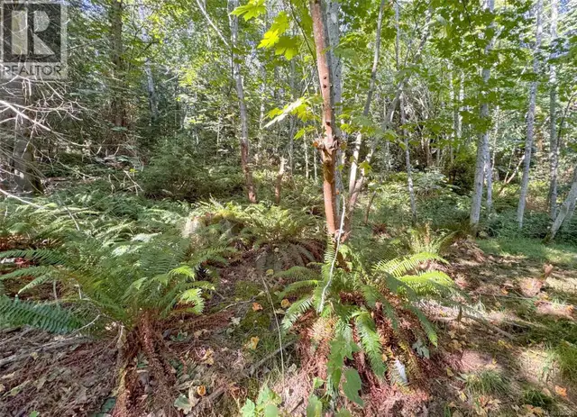 Lot 7 The Strand Gabriola Island, British Columbia in Land for Sale in Nanaimo - Image 13