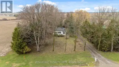 Exceptional opportunity to own a 50-acre cash crop farm with 46 acres of workable land in a prime lo...