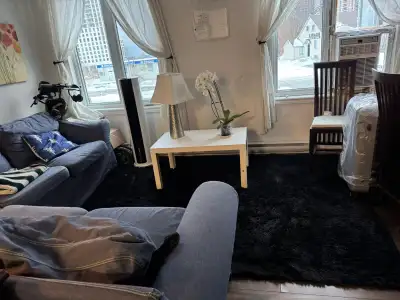 The room is in a 3 room apartment, where 2 other rooms are already rented. It is with furnish and th...