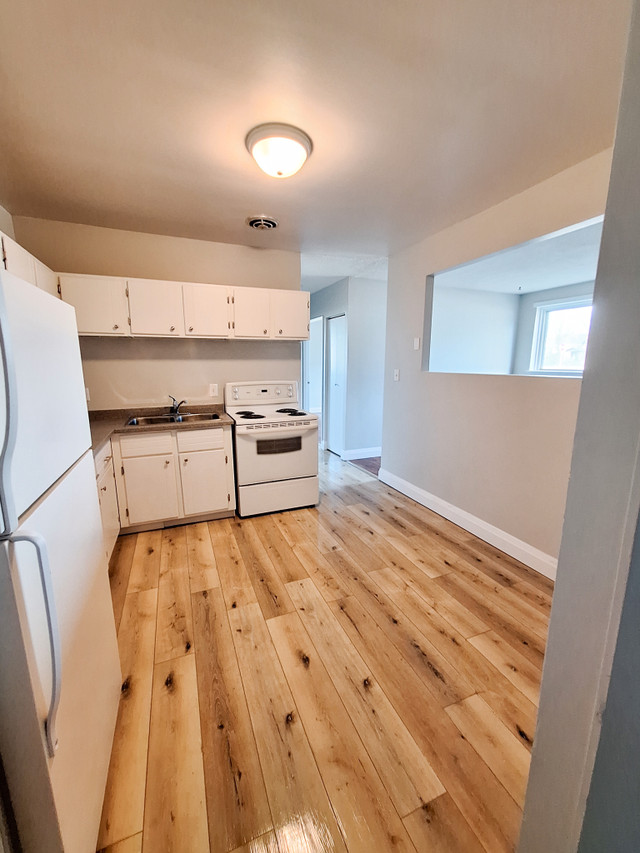 2 Bedroom Apartment in SSM in Long Term Rentals in Sault Ste. Marie - Image 4
