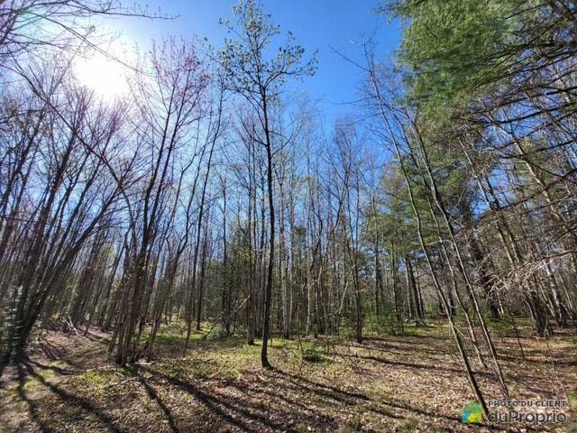 $425,000 - Arable Land for sale in Sherbrooke (St-Élie-d'Orford) — photo 1