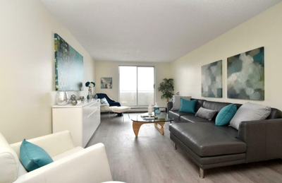 978 8th St | Smart, stylish junior one-bedroom living with a separate sleeping space, modern finishe...
