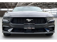COME SEE WHY ''NOBODY BEATS A DEAL FROM PEEL!'' Your Source for ALL make and models used cars and tr... (image 2)