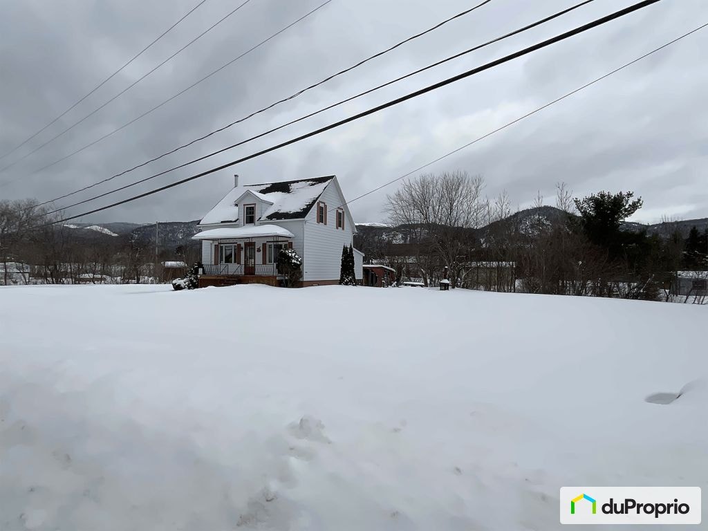 $335,000 - 2 Storey for sale in L'Anse-St-Jean — photo 3