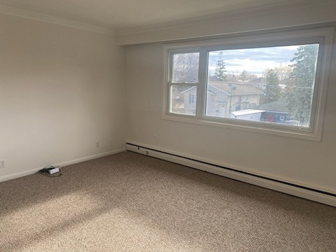 Cute 2 Bedroom Apartment in Long Term Rentals in Trenton - Image 3