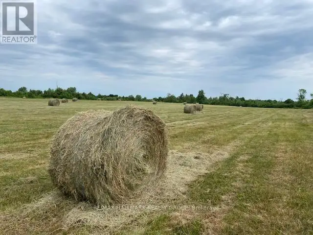 LOT 28 R13 ROAD Rideau Lakes, Ontario in Land for Sale in Ottawa - Image 12