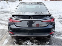 300h|Leather|Sunroof|CarPlay|No Accidents 2025 Lexus ES 300h 300h|Leather|Sunroof|CarPlay|No Acciden... (image 5)