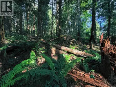 Tucked into a quiet, established neighbourhood in the north end of Gabriola Island, this 0.42-acre l...