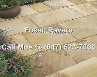 Fossil Patio Paving Stones Fossil Sandstone Pavers Fossil Stones