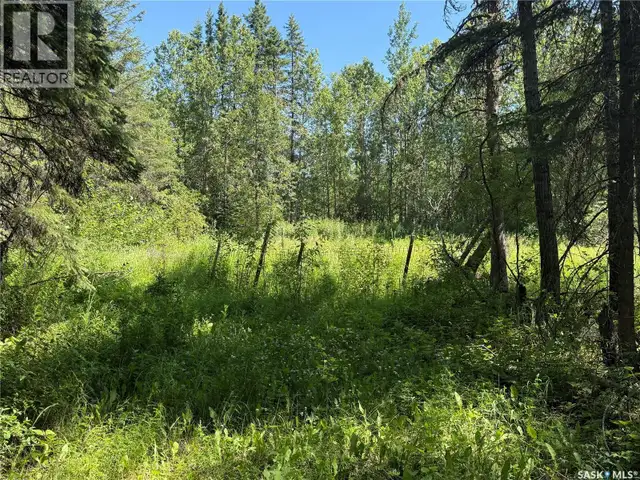 Rest A While Acreage Paddockwood Rm No. 520, Saskatchewan in Houses for Sale in Prince Albert - Image 15