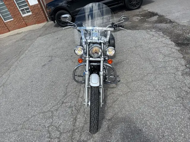 2008 Harley-Davidson Sportster ~ SADDLEMAN SEAT ~ XL1200 ~ CLEAN in Street, Cruisers & Choppers in City of Toronto - Image 8