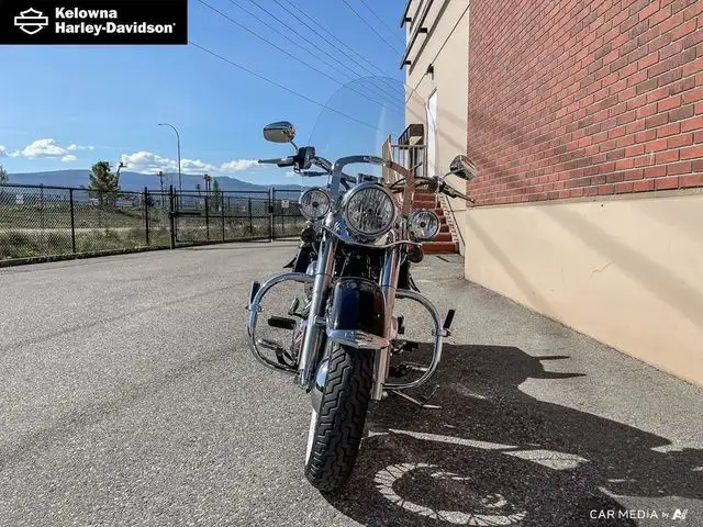 2008 Harley-Davidson Softail FLSTN - Deluxe in Street, Cruisers & Choppers in Kelowna - Image 3