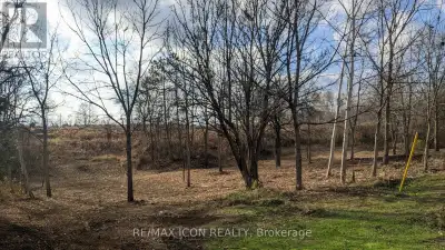 This wooded parcel at 237 Frederick in Wardsville offers a serene and private setting, tucked away i...