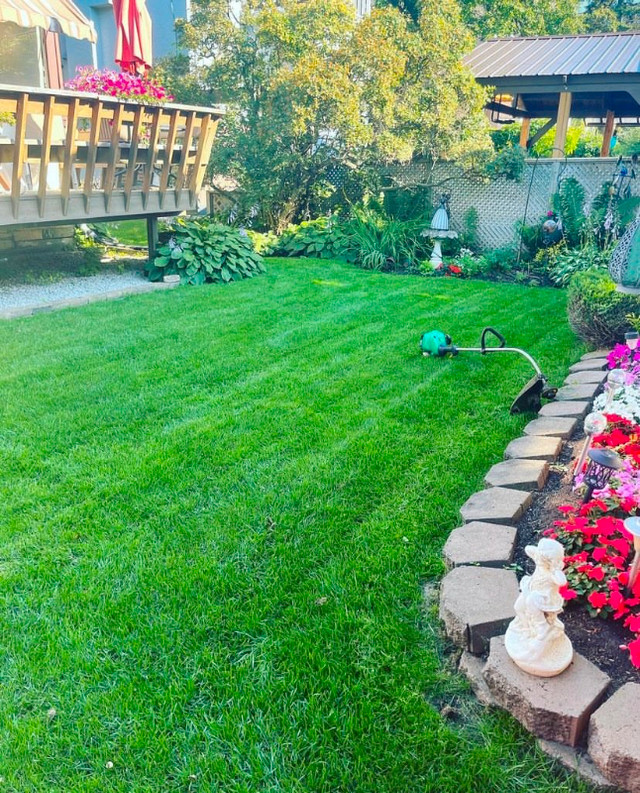 Grass Cutting and Lawn Care in Other in Thunder Bay - Image 3