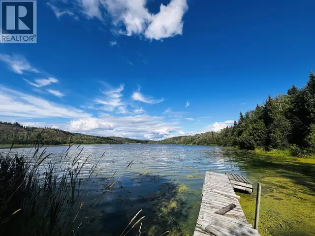 DL 941 SHAEFFER LAKE Burns Lake, British Columbia in Land for Sale in Burns Lake - Image 23