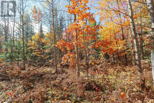 Lot 19 Nokomis Beach RD Sault Ste. Marie, Ontario in Land for Sale in Sault Ste. Marie - Image 10