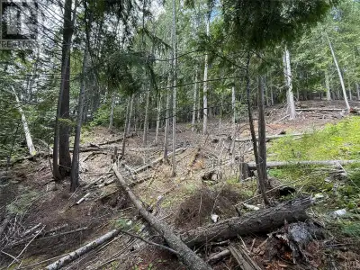 Three 50 X 125 lots just outside of Kaslo village limits. Affordable, private and currently unzoned....