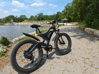 1000W Fat Tire Mountain Ebike 47KPH Free Shipping 1Yr Warranty