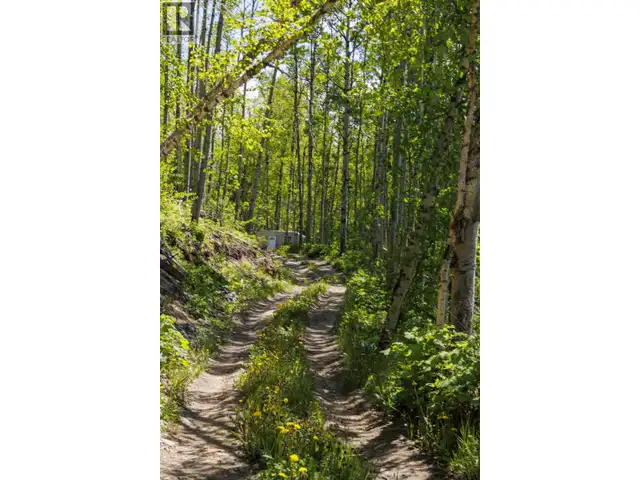 3260 MOUNTAIN VIEW ROAD McBride, British Columbia in Land for Sale in Quesnel - Image 10