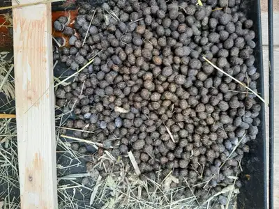 Pure Rabbit manure or urine, Bird/chicken/quail manure or poop f, View more