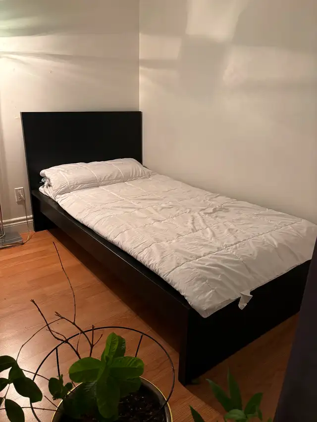 Ottawa university student  ideal living.  In the Ottawa market.63351297382657121
