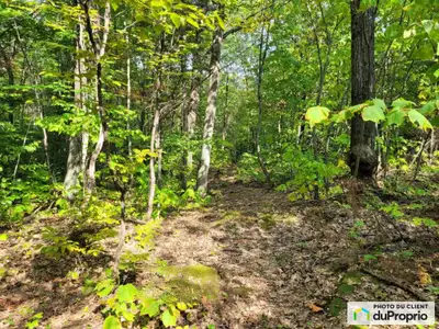 Sainte-Sophie Grand terrain boisé (arbres matures) situé à Sainte-Sophie à 11 minutes de l'autoroute...