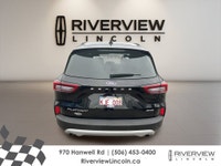 Built for Canadian roads and daily life, this used 2025 Ford Escape Platinum at Riverview Ford in Fr... (image 2)