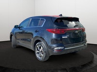 Used 2022 Kia Sportage LX for Sale in Edmonton, AB | Low Mileage (79,841 km) | Black Cherry | Apple... (image 3)