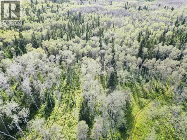 DL 941 SHAEFFER LAKE Burns Lake, British Columbia in Land for Sale in Burns Lake - Image 19