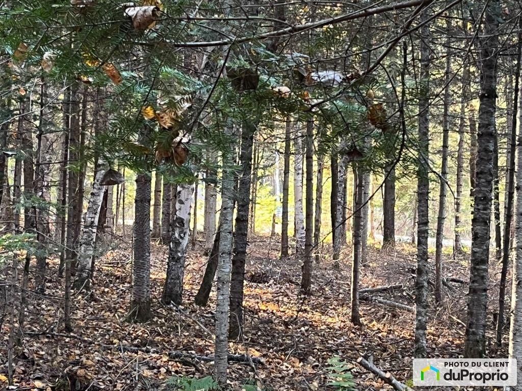 $242,500 - Price taxes not included - Residential Lot for sale — photo 1