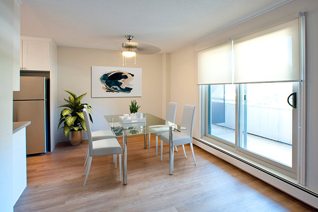 LARGE 1 BEDROOM APARTMENT FOR RENT IN OWEN SOUND! dans Locations longue durée  à Owen Sound - Image 4