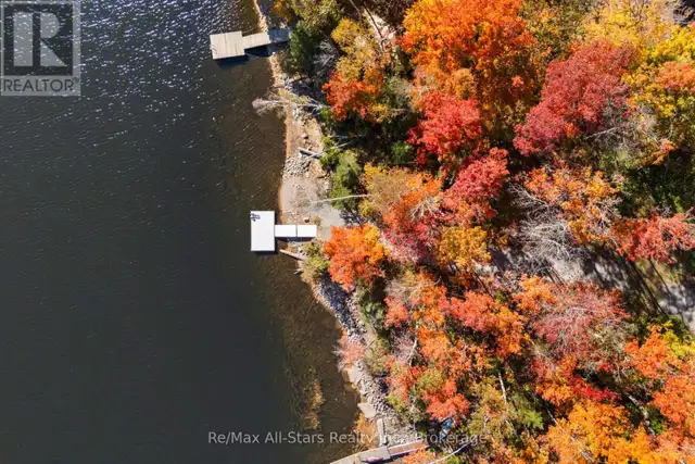 100 RUSSELL DRIVE Trent Lakes, Ontario in Land for Sale in Muskoka - Image 7