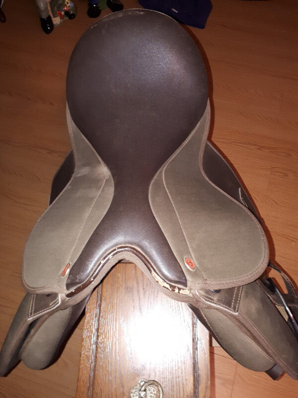 English Saddles in Equestrian & Livestock Accessories in Annapolis Valley - Image 4