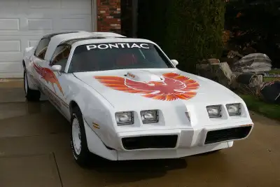 David Ts Camaro & Firebird Very unique, Custom made 24 years ago, If you want to build one today it...