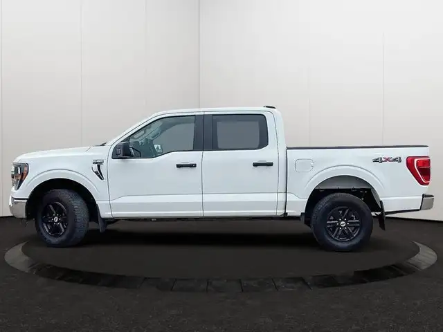 2023 Ford F-150 XLT | Accident Free CarFax | in Cars & Trucks in Edmonton - Image 3