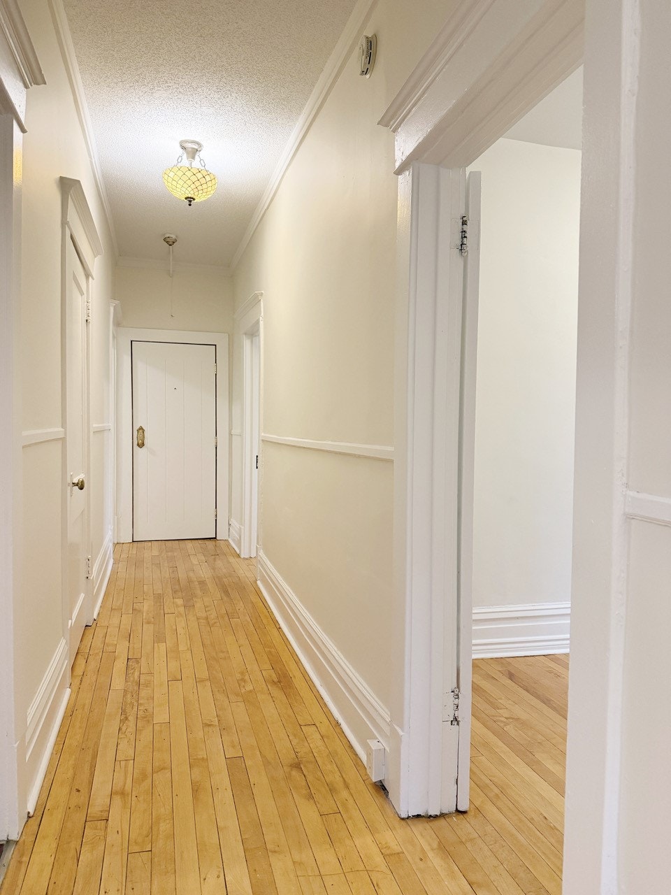 $1499 BRIGHT CHARACTER 3BDRM w/bonus! 2