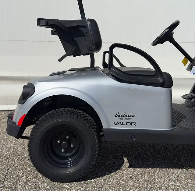 2026 E-Z-GO RXV 2 Valor S EX1-Platinum golf carts in ATVs in Vernon - Image 14