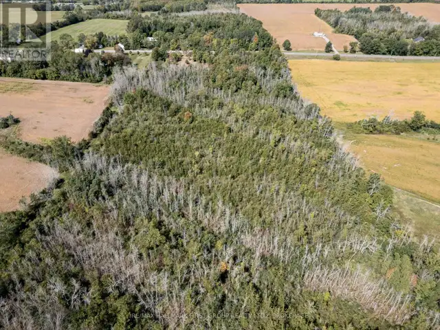 00 PALACE ROAD Greater Napanee (Greater Napanee), Ontario in Land for Sale in Napanee - Image 24