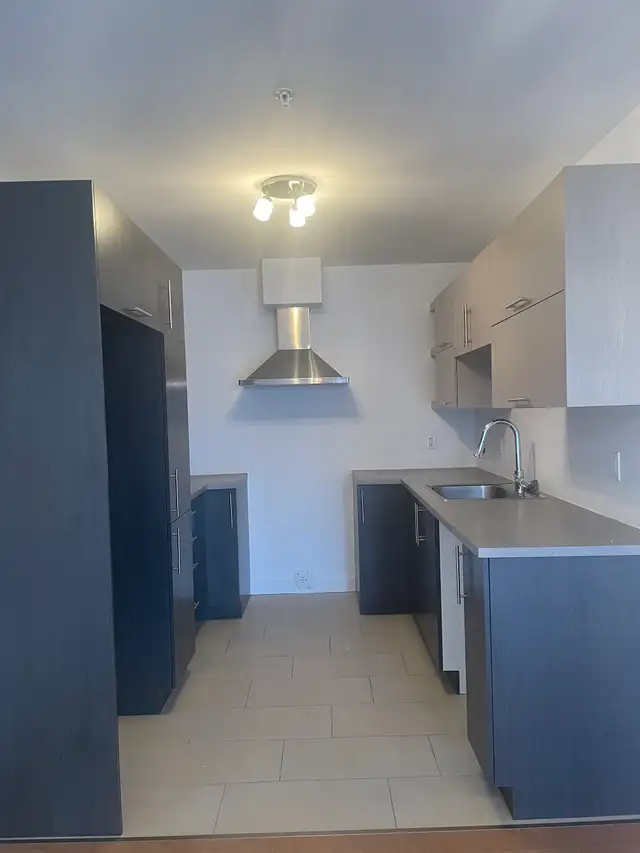 Magnifique condo 18e rue Limoilou pour Décembre in Long Term Rentals in Québec City - Image 3