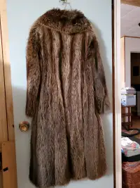 Full length silver tipped Raccoon size 12 / 14