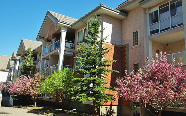 WANT TO DOWNSIZE TO A 55+ CONDO?? in Condos for Sale in Calgary - Image 4