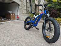 1500W Fat Tire Mountain Bike 67 km/h Free Shipping Warranty