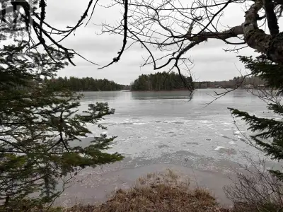 Discover the beauty of lakeside living with these new lots on Rhyno Lake connected directly to Seven...