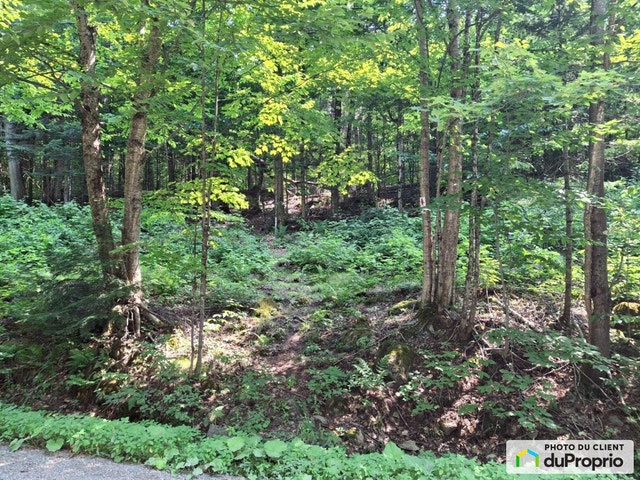 $109,500 - Land to be developed for sale in Gore — photo 1
