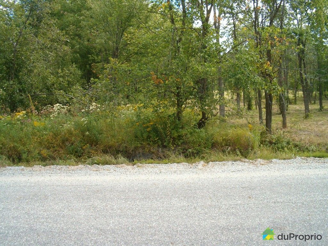 55 000$ - Terrain résidentiel à vendre à Cayamant in Land for Sale in Gatineau - Image 2