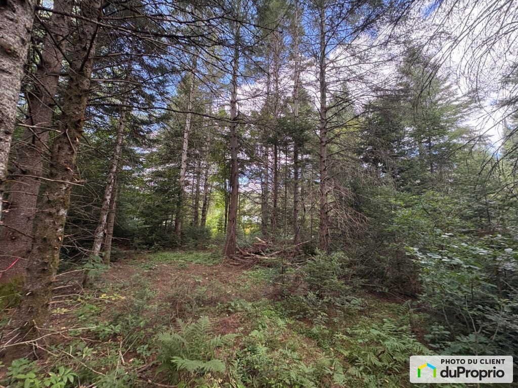 $110,000 - Price taxes not included - Residential Lot for sale — photo 1